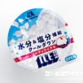 森永製菓 アイスボックス（ICEBOX） ソルティライチ