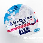 森永製菓 アイスボックス（ICEBOX） ソルティライチ