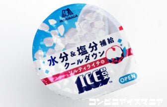 森永製菓 アイスボックス（ICEBOX） ソルティライチ