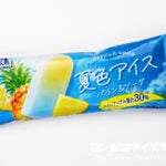 森永製菓 夏色アイス パイン＆ソーダ