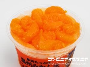 セブンプレミアム 温州みかん氷