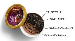 ハーゲンダッツ ミニカップ 悪魔のささやき『チョコレート』