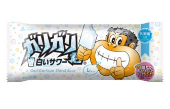 赤城乳業 ガリガリ君 白いサワー