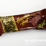 アンデイコ ハワイアンホースト マカダミアナッツチョコレートアイス