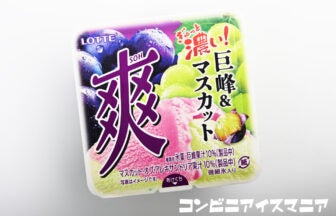 ロッテ 爽 巨峰＆マスカット