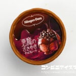 ハーゲンダッツ ミニカップ『悪魔のささやき チョコレート』