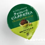 赤城乳業 チョコレートピスタチオアイス