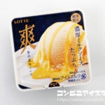 ロッテ 爽 贅沢濃味バニラ