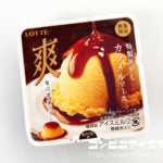 ロッテ 爽 贅沢濃蜜プリン