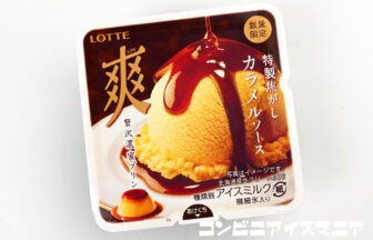 ロッテ 爽 贅沢濃蜜プリン