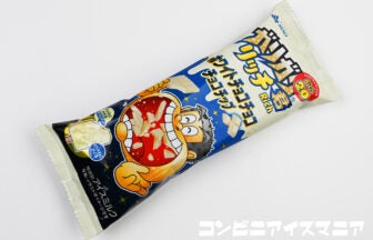 赤城乳業 ホワイトチョコチョコチョコチップ