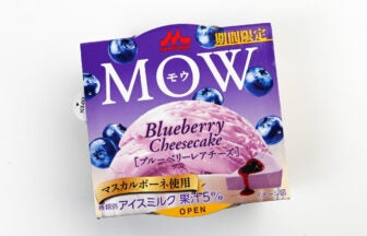 森永乳業 MOW（モウ）ブルーベリーレアチーズ