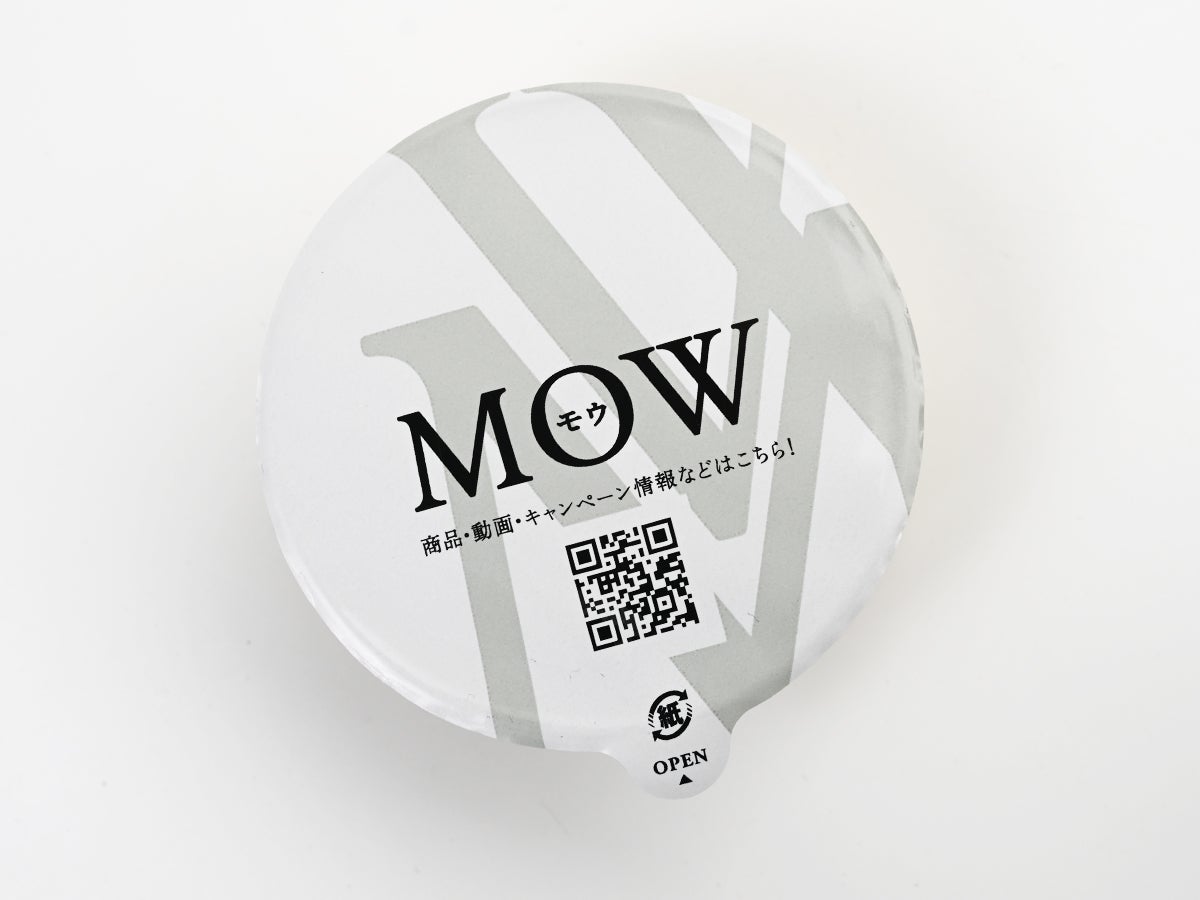 森永乳業 MOW(モウ)ブルーベリーレアチーズ