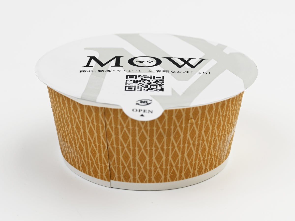 森永乳業 MOW(モウ)ブルーベリーレアチーズ