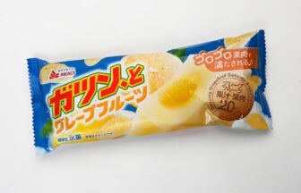 赤城乳業 ガツン、とグレープフルーツ