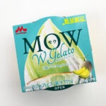 森永乳業 MOW（モウ）ダブルジェラート 塩バニラ＆メロン