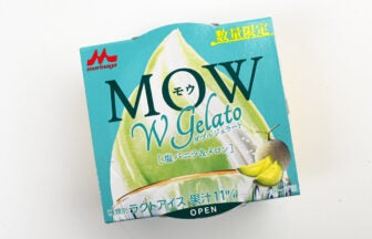 森永乳業 MOW（モウ）ダブルジェラート 塩バニラ＆メロン