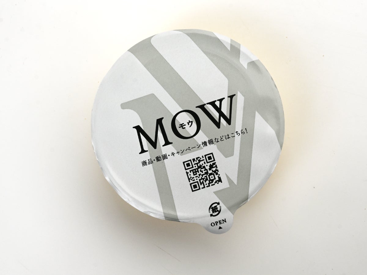 森永乳業 MOW(モウ)ダブルジェラート 塩バニラ&メロン