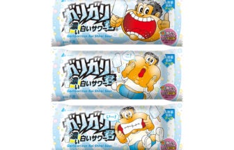 赤城乳業 ガリガリ君 濃い白いサワー