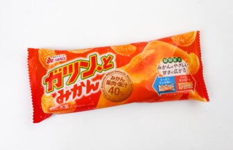 赤城乳業 ガツン、とみかん 秋冬ver